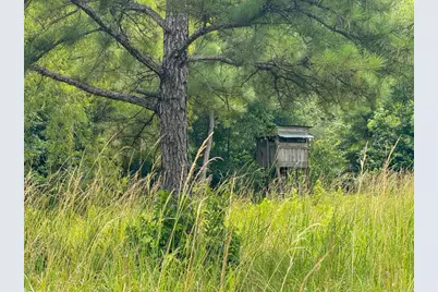 Tbd Hwy 90 N, Devers, TX 77538 - Photo 44