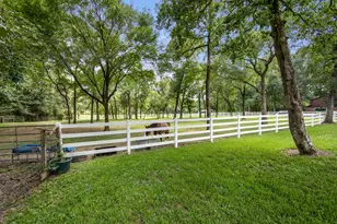 802 Sentinel Oaks, Pinehurst, TX 77362 - Photo 8