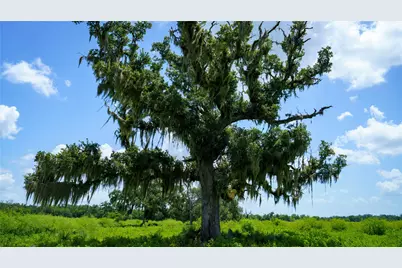 4799 County Road 652, Brazoria, TX 77422 - Photo 44