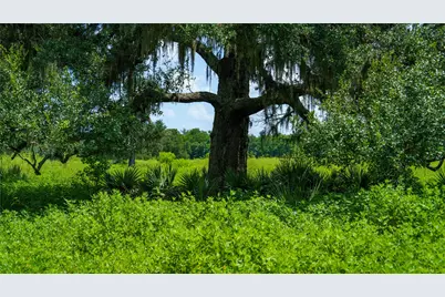 4799 County Road 652, Brazoria, TX 77422 - Photo 40