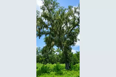 4799 County Road 652, Brazoria, TX 77422 - Photo 42