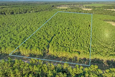 0 Bluewater Road, Livingston, TX 77351 - Photo 4