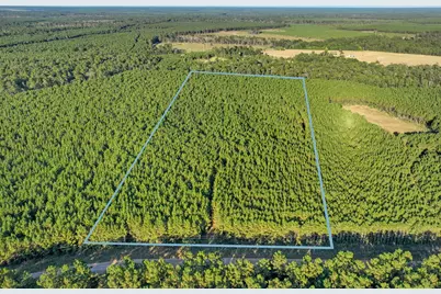 0 Bluewater Road, Livingston, TX 77351 - Photo 8