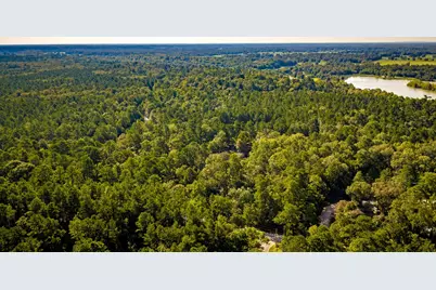 834 County Road, Goodrich, TX 77335 - Photo 36