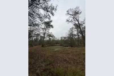 0 Tierra Grande Drive, Needville, TX 77461 - Photo 10