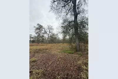 0 Tierra Grande Drive, Needville, TX 77461 - Photo 16