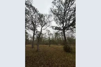0 Tierra Grande Drive, Needville, TX 77461 - Photo 4