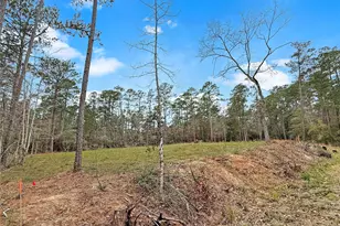 252 Amblewood Dr, Brookeland, TX 75931 - Photo 2