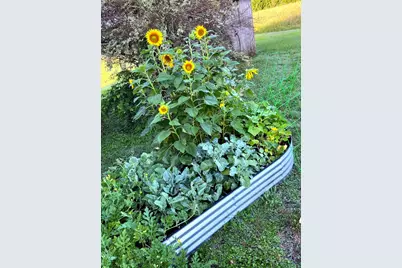 2258 County Road 316, Navasota, TX 77868 - Photo 40