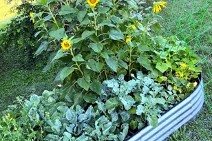 2258 County Rd 316, Navasota, TX 77868 - Photo 40