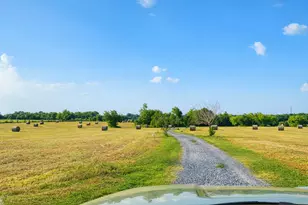 2258 County Rd 316, Navasota, TX 77868 - Photo 4