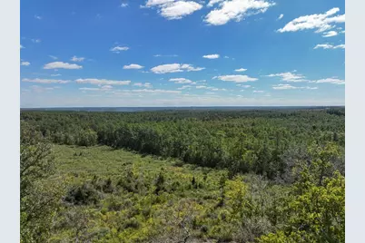 7 Fm 350, Livingston, TX 77351 - Photo 2