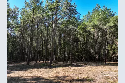 7 Fm 350, Livingston, TX 77351 - Photo 22