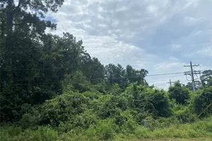 12 Redbud Dr, Conroe, TX 77302 - Photo 6