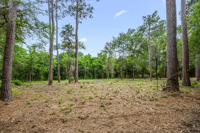 26020 Pine Shadows Drive, Hockley, TX 77447 - Photo 6
