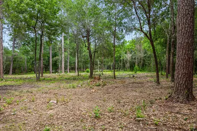 26020 Pine Shadows Drive, Hockley, TX 77447 - Photo 4