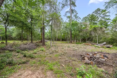 26020 Pine Shadows Drive, Hockley, TX 77447 - Photo 10