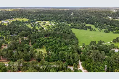26020 Pine Shadows Drive, Hockley, TX 77447 - Photo 20