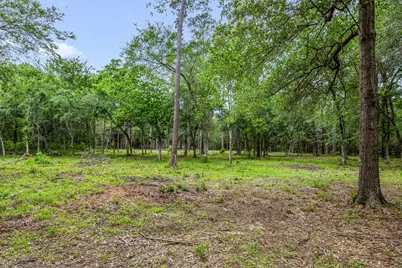 26020 Pine Shadows Drive, Hockley, TX 77447 - Photo 8