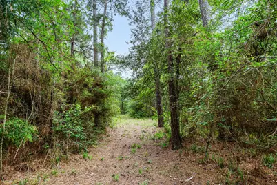 26020 Pine Shadows Drive, Hockley, TX 77447 - Photo 14