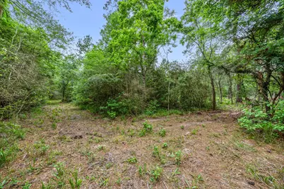 26020 Pine Shadows Drive, Hockley, TX 77447 - Photo 12