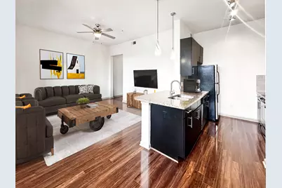 306 Mc Gowen Street #1310, Houston, TX 77006 - Photo 4