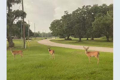 920 Mill Road, Angleton, TX 77515 - Photo 10