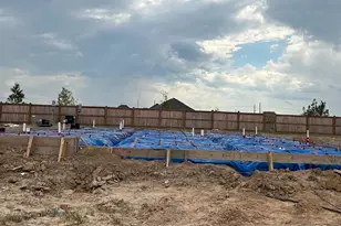 802 Lily Haven Trail, Richmond, TX 77406 - Photo 28