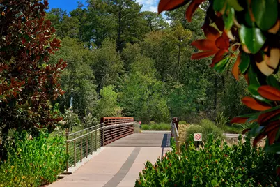 18 S Slash Pine Park, The Woodlands, TX 77380 - Photo 38