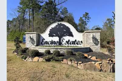 81 Road 6605, Dayton, TX 77535 - Photo 1