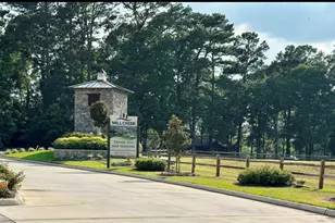 40643 Creekside Blf Trl, Magnolia, TX 77354 - Photo 38