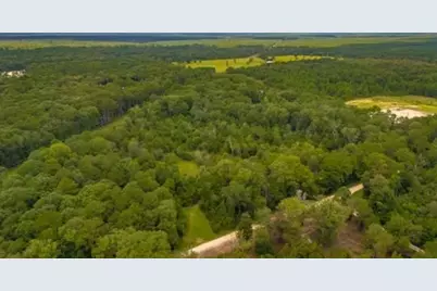 1176 Plum Pudding Road, Livingston, TX 77351 - Photo 2