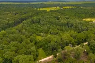 1176 Plum Pudding Rd, Livingston, TX 77351 - Photo 2