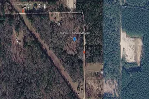 1176 Plum Pudding Rd, Livingston, TX 77351 - Photo 6