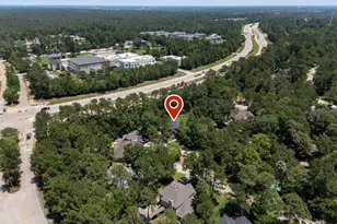 98 W Night Heron Pl, The Woodlands, TX 77382 - Photo 48