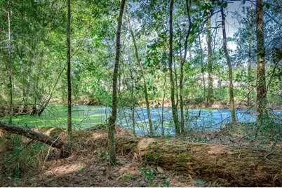 0 County Road 6504, Dayton, TX 77535 - Photo 8