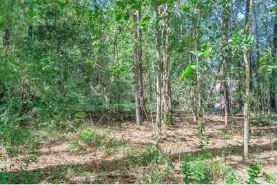 0 County Road 6504, Dayton, TX 77535 - Photo 20