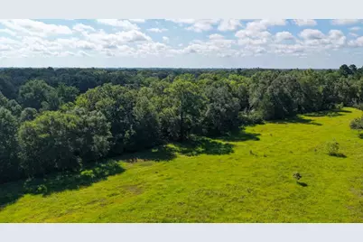 0 Fm 2158, Midway, TX 75852 - Photo 6