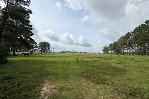 6779 Co Rd 215, Anderson, TX 77830 - Photo 1