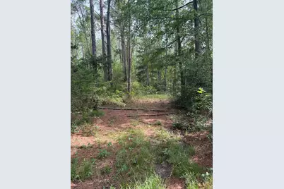 6779 County Road 215, Anderson, TX 77830 - Photo 8