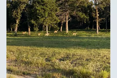 Lot 40 Pr 4174, Marquez, TX 77865 - Photo 26
