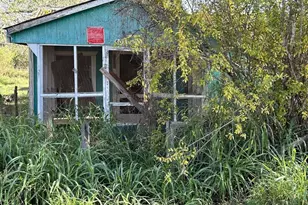 807 Jay, Cotulla, TX 78014 - Photo 6