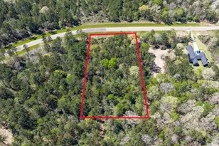 15824 Wood Grv Wy, Willis, TX 77378 - Photo 4