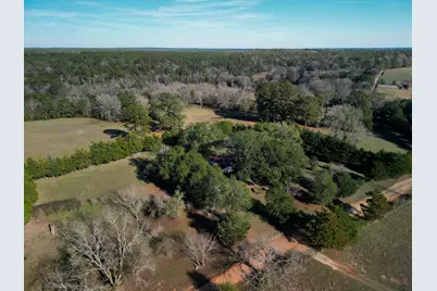 1549 County Road 1650, Grapeland, TX 75844 - Photo 4