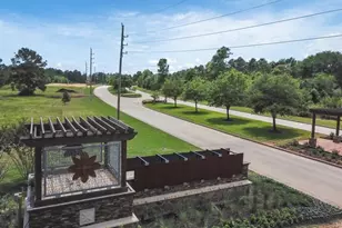 410 Southern Magnolia Wy, Magnolia, TX 77354 - Photo 36