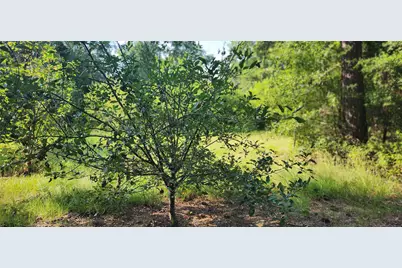 5680 State Highway 43 S, Jefferson, TX 75657 - Photo 12