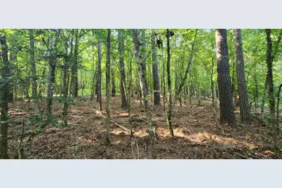 5680 State Highway 43 S, Jefferson, TX 75657 - Photo 18