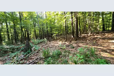 5680 State Highway 43 S, Jefferson, TX 75657 - Photo 20