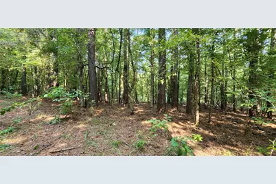 5680 State Highway 43 S, Jefferson, TX 75657 - Photo 24