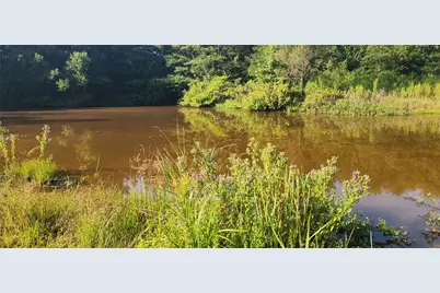 5680 State Highway 43 S, Jefferson, TX 75657 - Photo 4